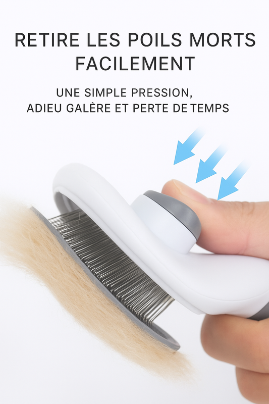 Brosse Anti-Nœuds avec Poussoir